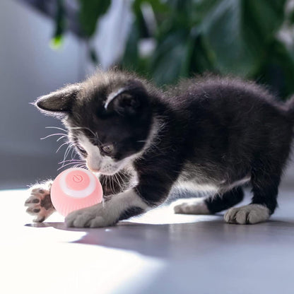 BOLA DE JUGUETE INTERACTIVO PARA GATOS